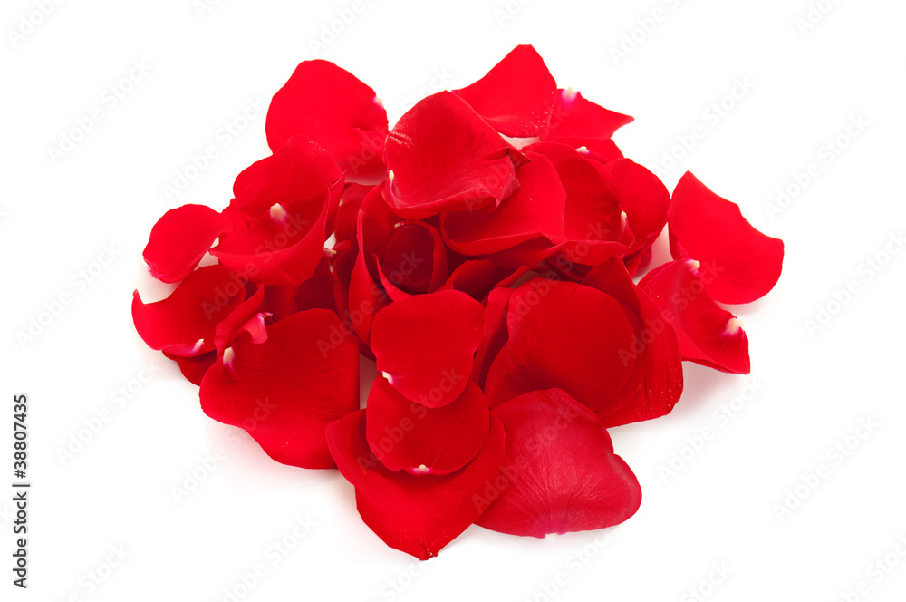 Heap of rose petals Heap of rose petals