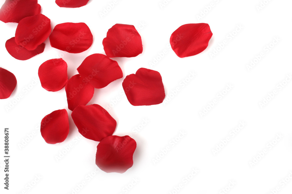 Rose petals Rose petals