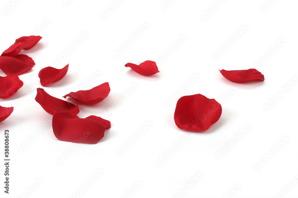 Rose petals Rose petals