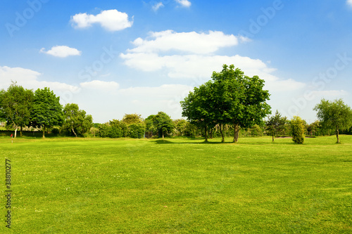 Fototapeta Naklejka Na Ścianę i Meble -  Green grass on a golf field