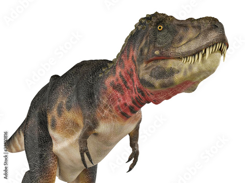 tarbosaurus frree