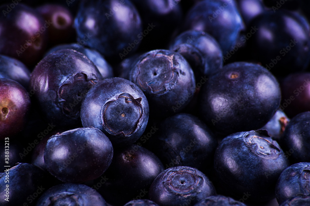 Blueberries - obrazy, fototapety, plakaty 