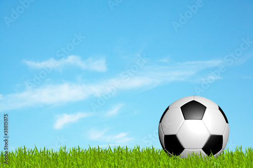 soccer ball on green grass © FrameAngel