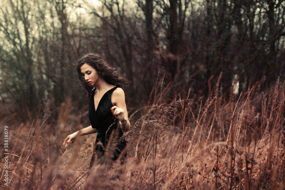 beautiful brunette posing in a field beautiful brunette posing in a field