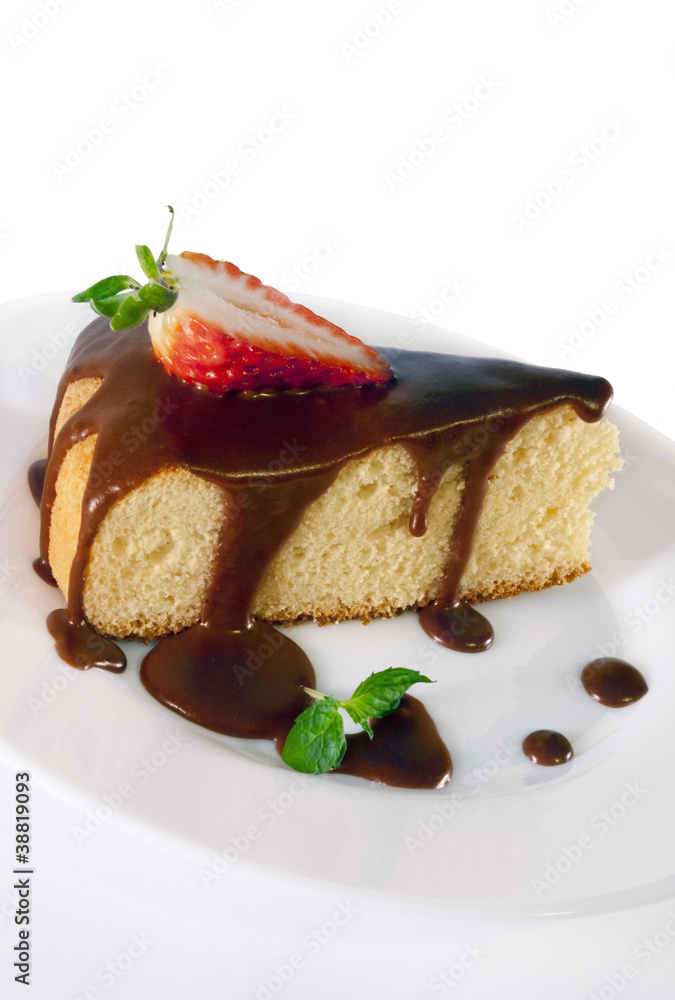 A piece of sponge cake with chocolate sauce on a white plate. A piece of sponge cake with chocolate sauce on a white plate.