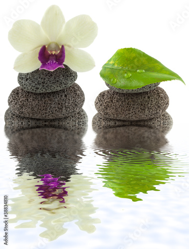 Fototapeta Naklejka Na Ścianę i Meble -  décor zen, minéral, floral, végétal