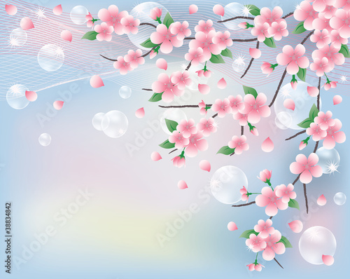 Spring card with sakura. vector illustration