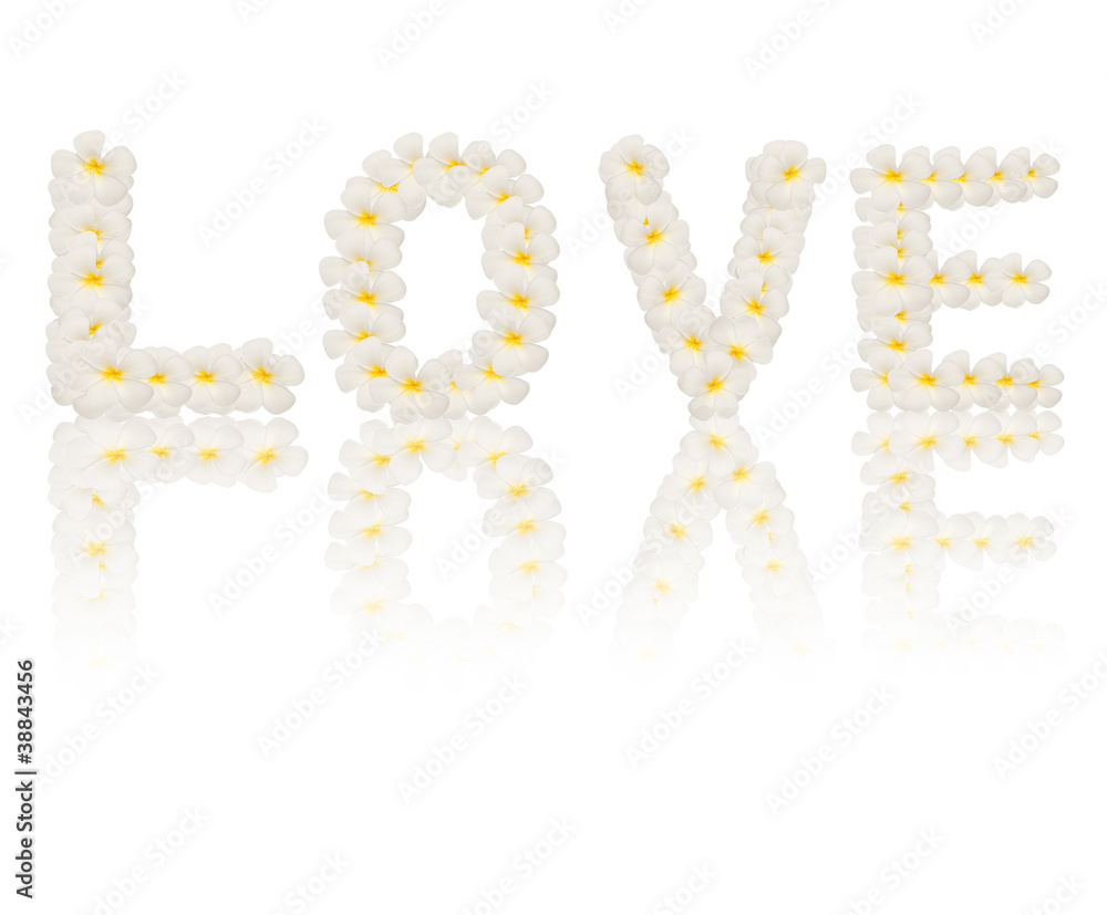 Love word created from flower isolated on white