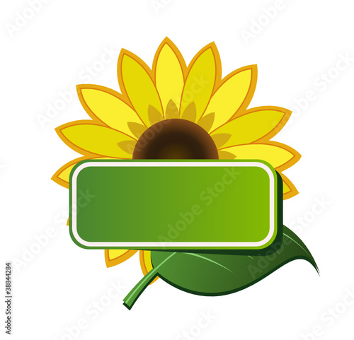 Vector sticker and sunflower