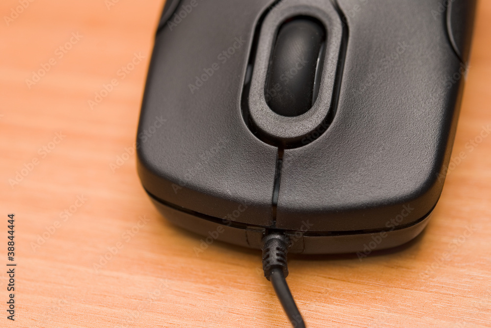 Computer Mouse Computer Mouse