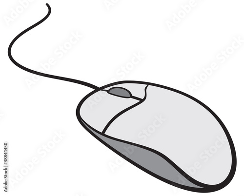 computer mouse