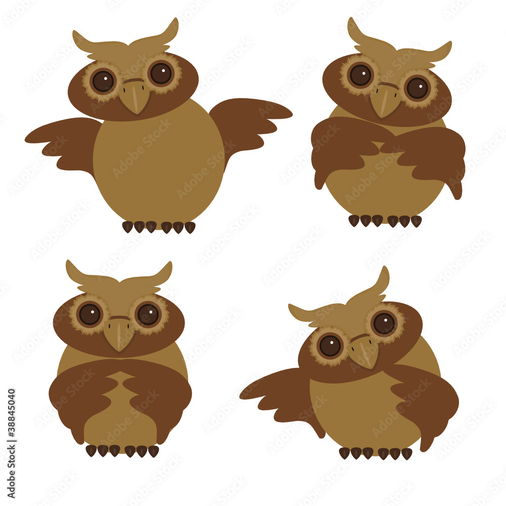 nice owls in different position nice owls in different position