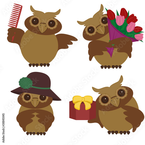 four nice owls with different ibjects photo