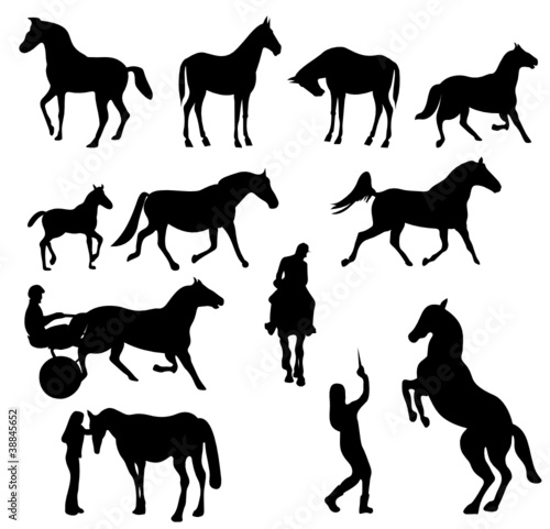 chevaux en silhouettes noires photo