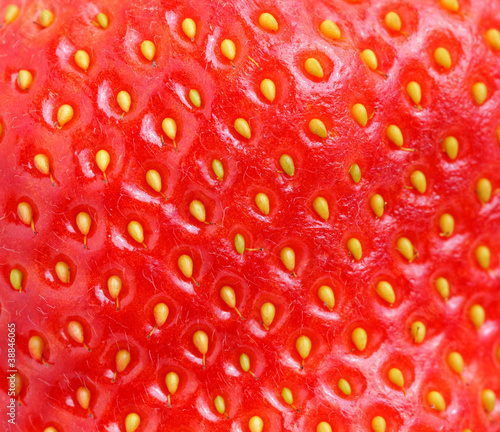macro of strawberry texture