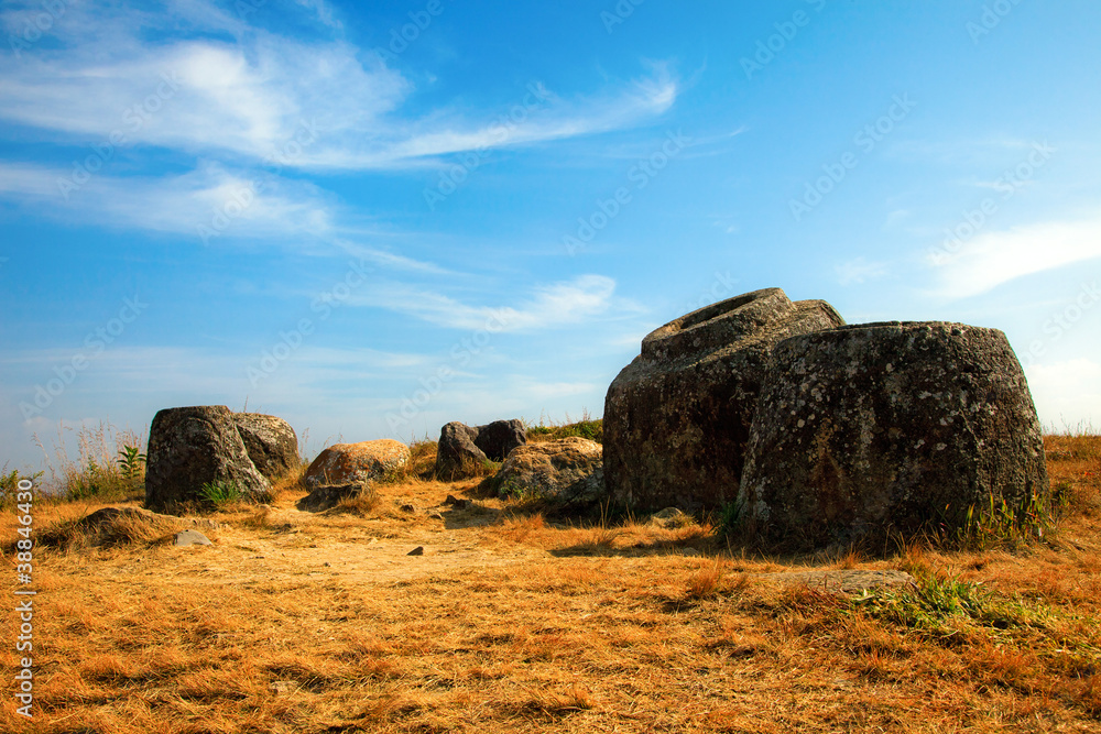 Obraz premium Field of Jars