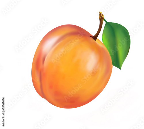 nectarine