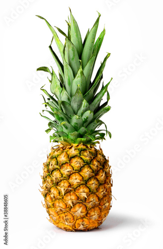 Fresh pineapple fruit isolated