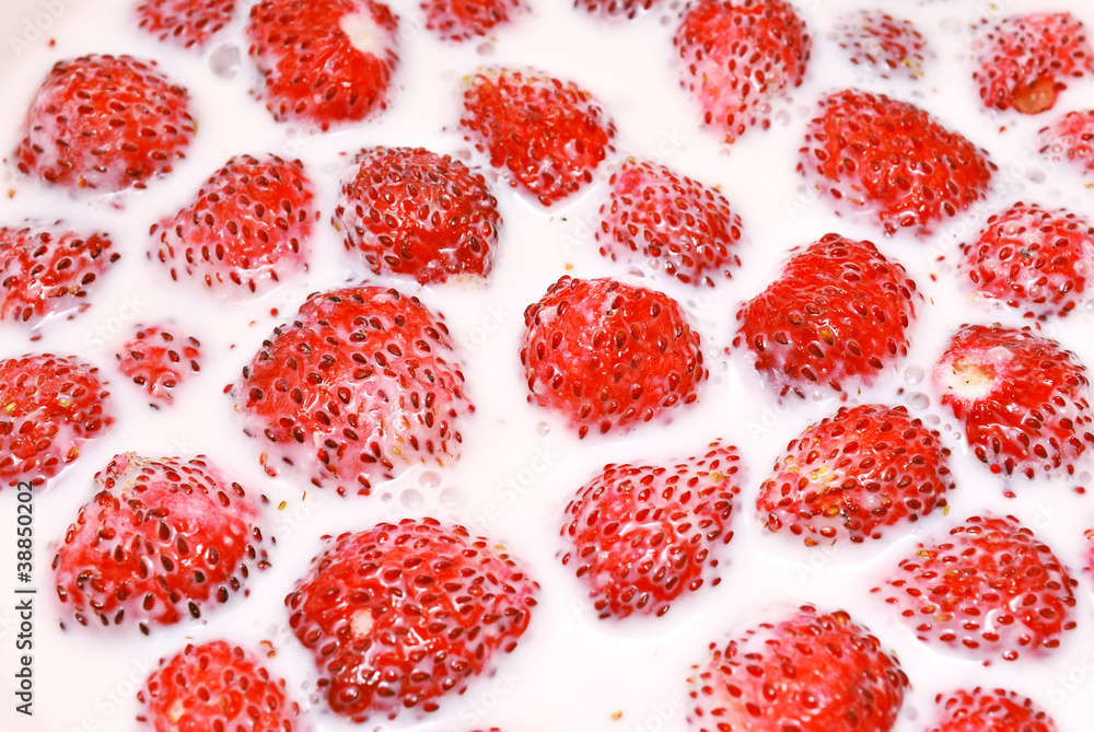 Strawberry in milk Strawberry in milk