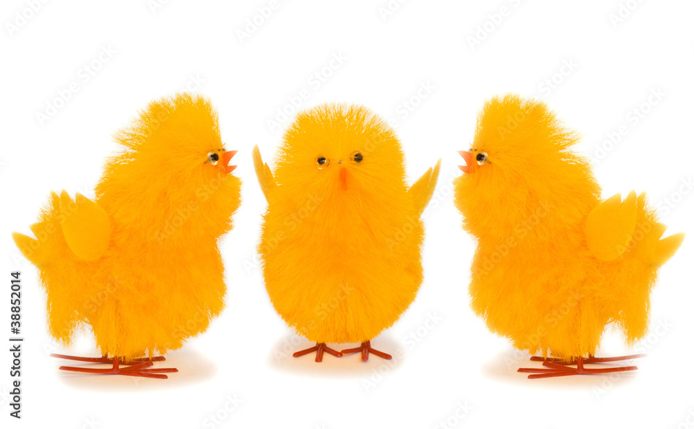 Yellow easter chicks discussing serious matters