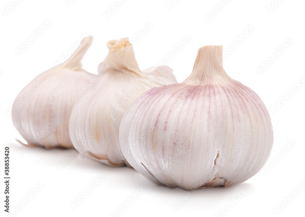 garlic garlic