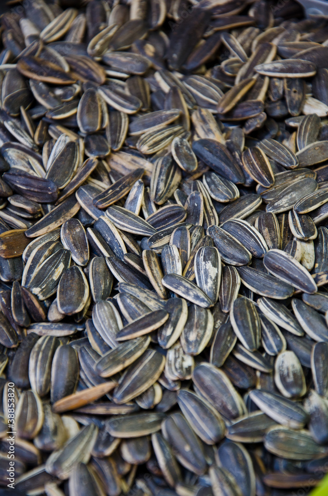 dry sunflower seeds