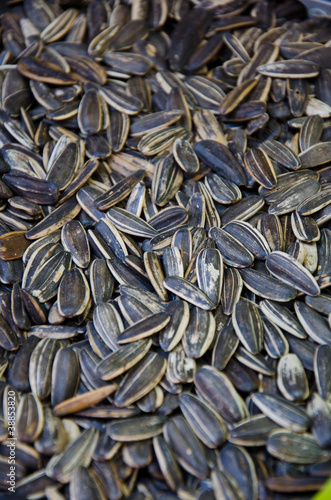 dry sunflower seeds