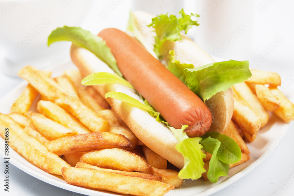 Hot dog with lettuce and french fries Hot dog with lettuce and french fries