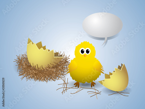 Chicken with broken egg, nest and text bubbe