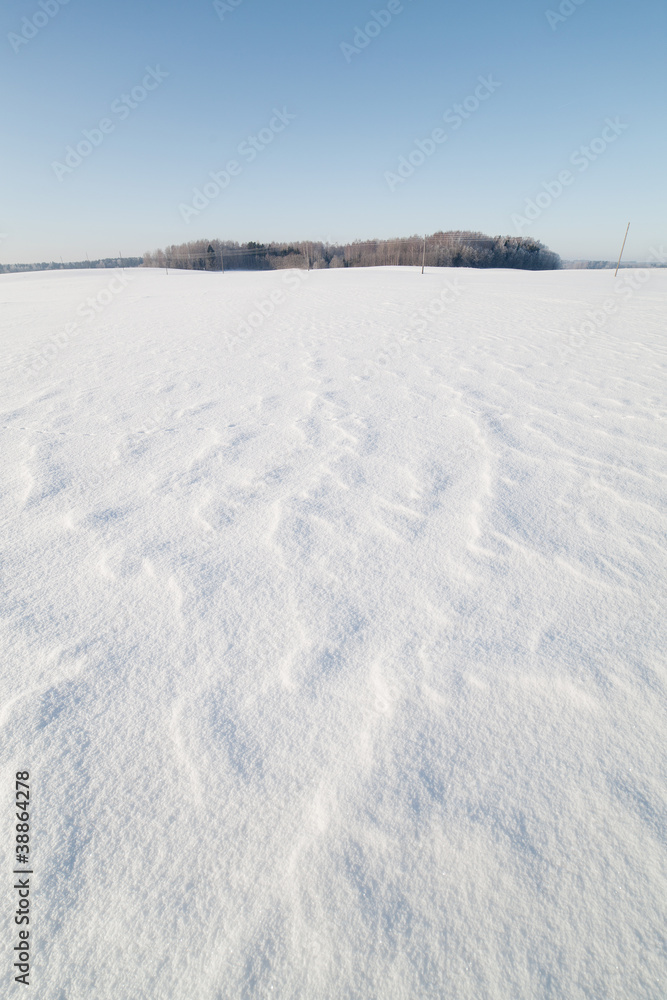 Winter landscape. Winter landscape.
