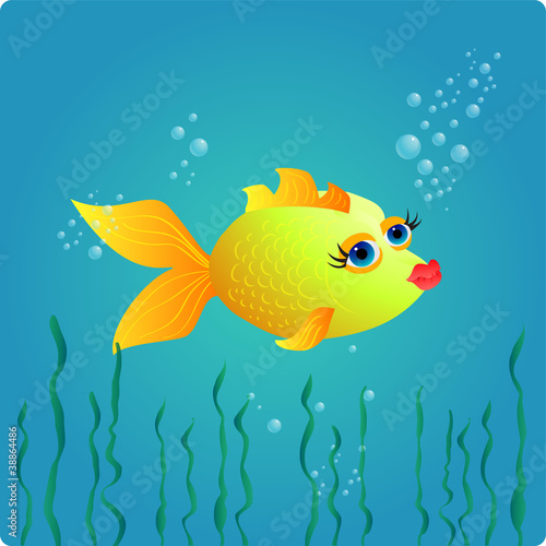 goldfish