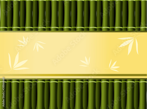 Bamboo background with decorative place for text