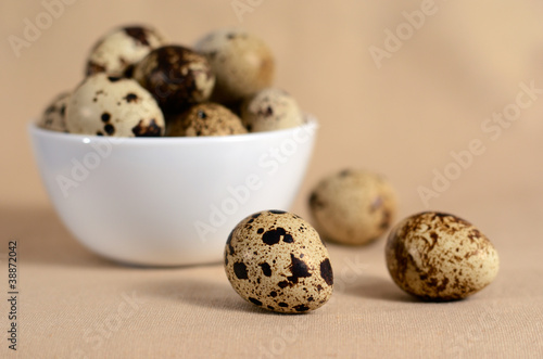quail eggs