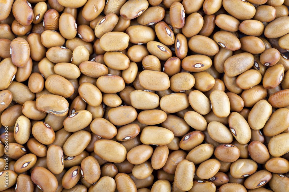 Bean Background