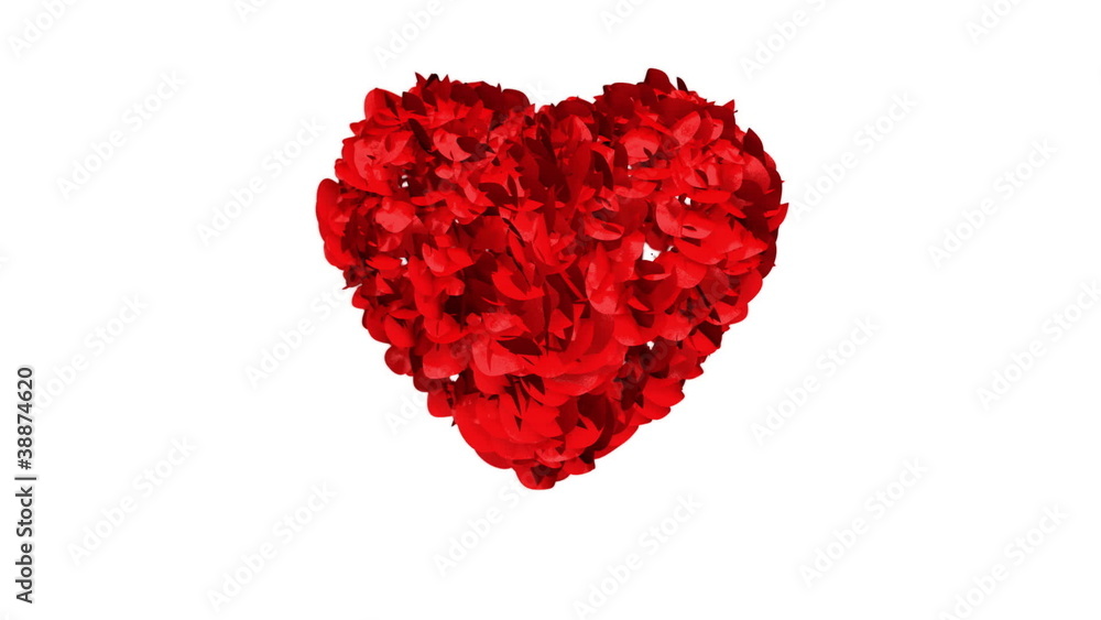 Heart of Rose Petals exploding Heart of Rose Petals exploding