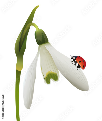 Frühlingsgruß