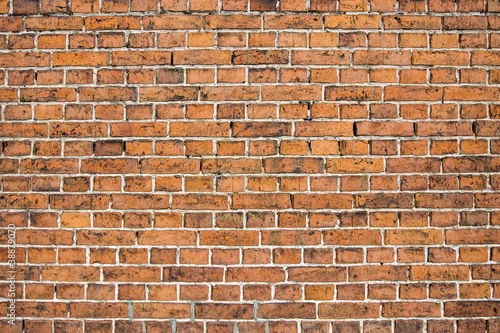 Obraz Cegły tekstura