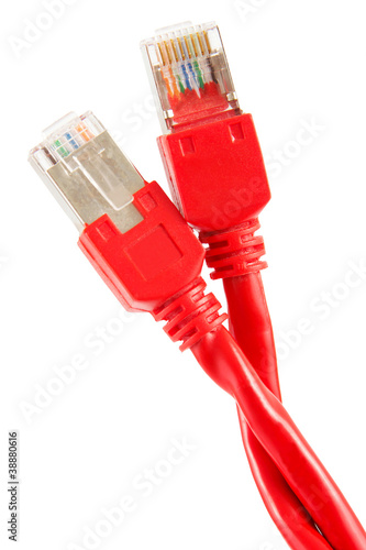 Rotes Netzwerkkabel photo