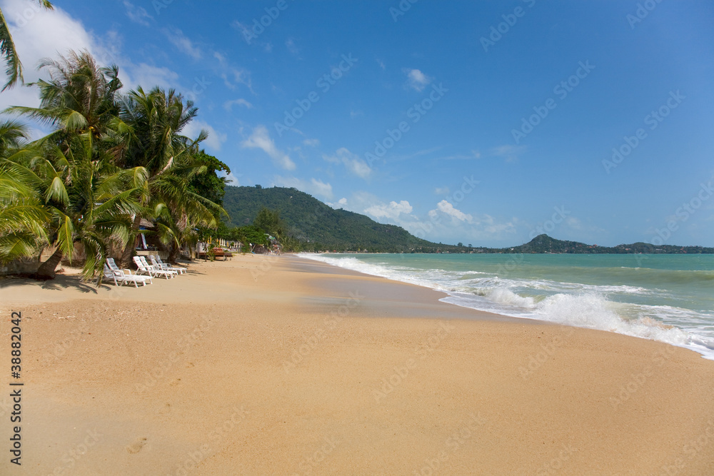 sea and beach with coconut palm and sun lounger