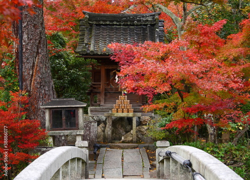 Japon en automne (Eikan-de temple) photo