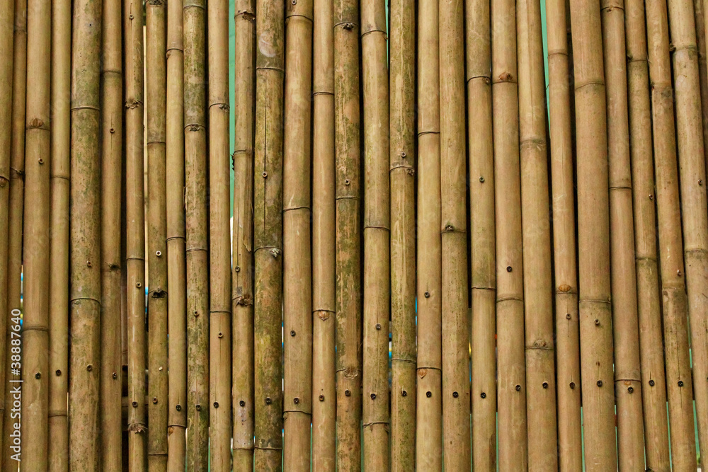 Naklejka premium Bamboo wall