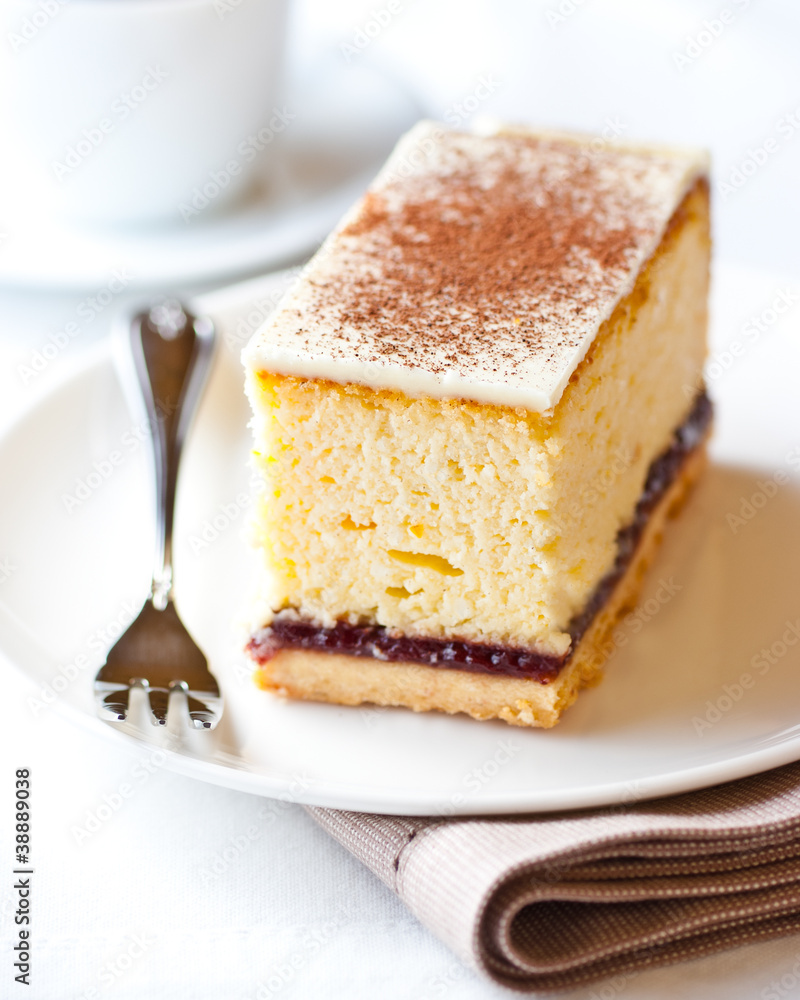 Piece of cheesecake with white chocolate and cocoa Piece of cheesecake with white chocolate and cocoa