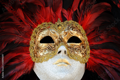 Venetian Carnival Mask © Marketa Cermak Photo