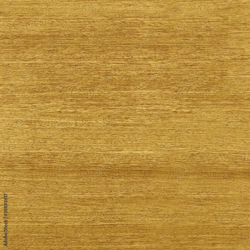 Fototapeta premium wooden texture (high res.)