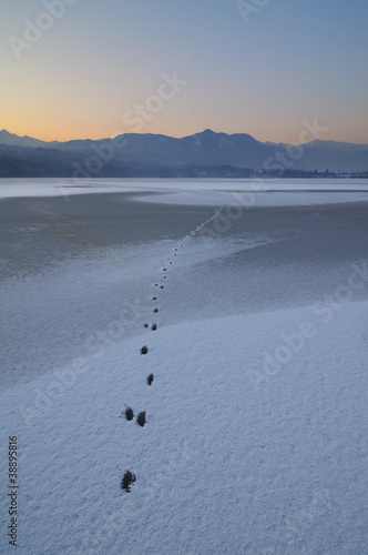 frozen lake photo