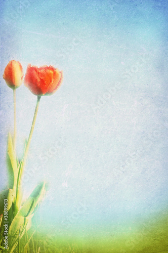 Spring, summer background