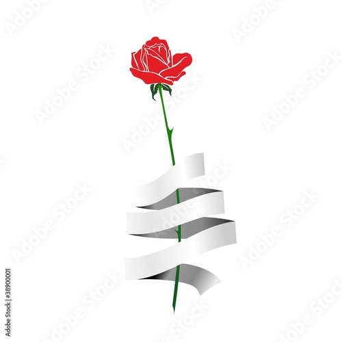 Rose mit Band