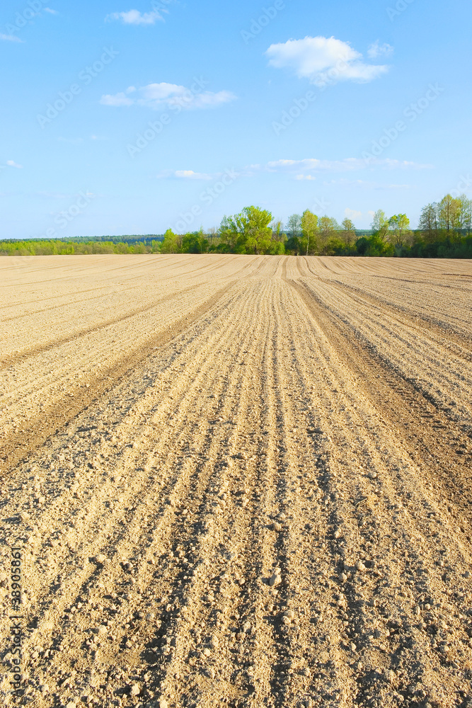 Plowed field in spring time. Central Russia Plowed field in spring time. Central Russia
