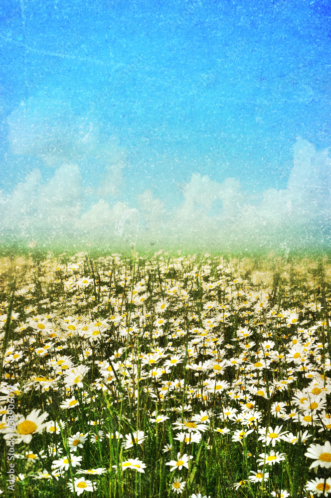 Fototapeta premium Spring, summer background