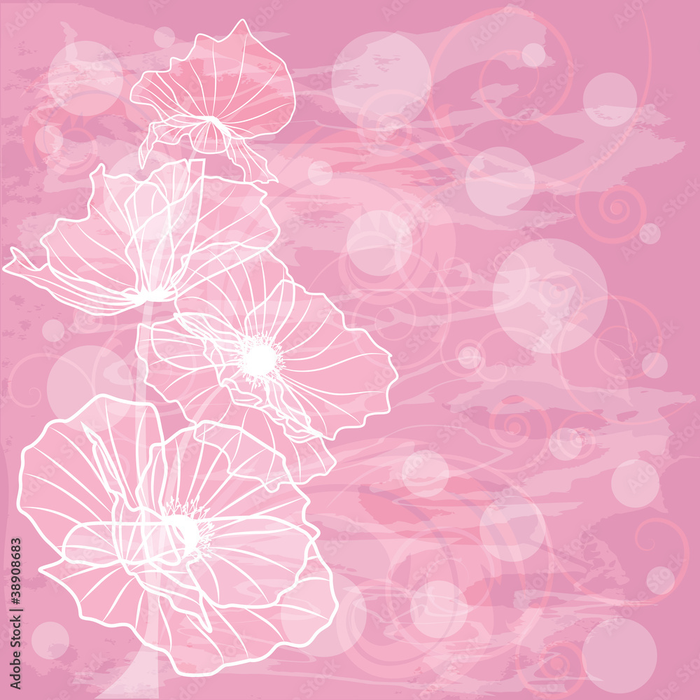 poppies poppies